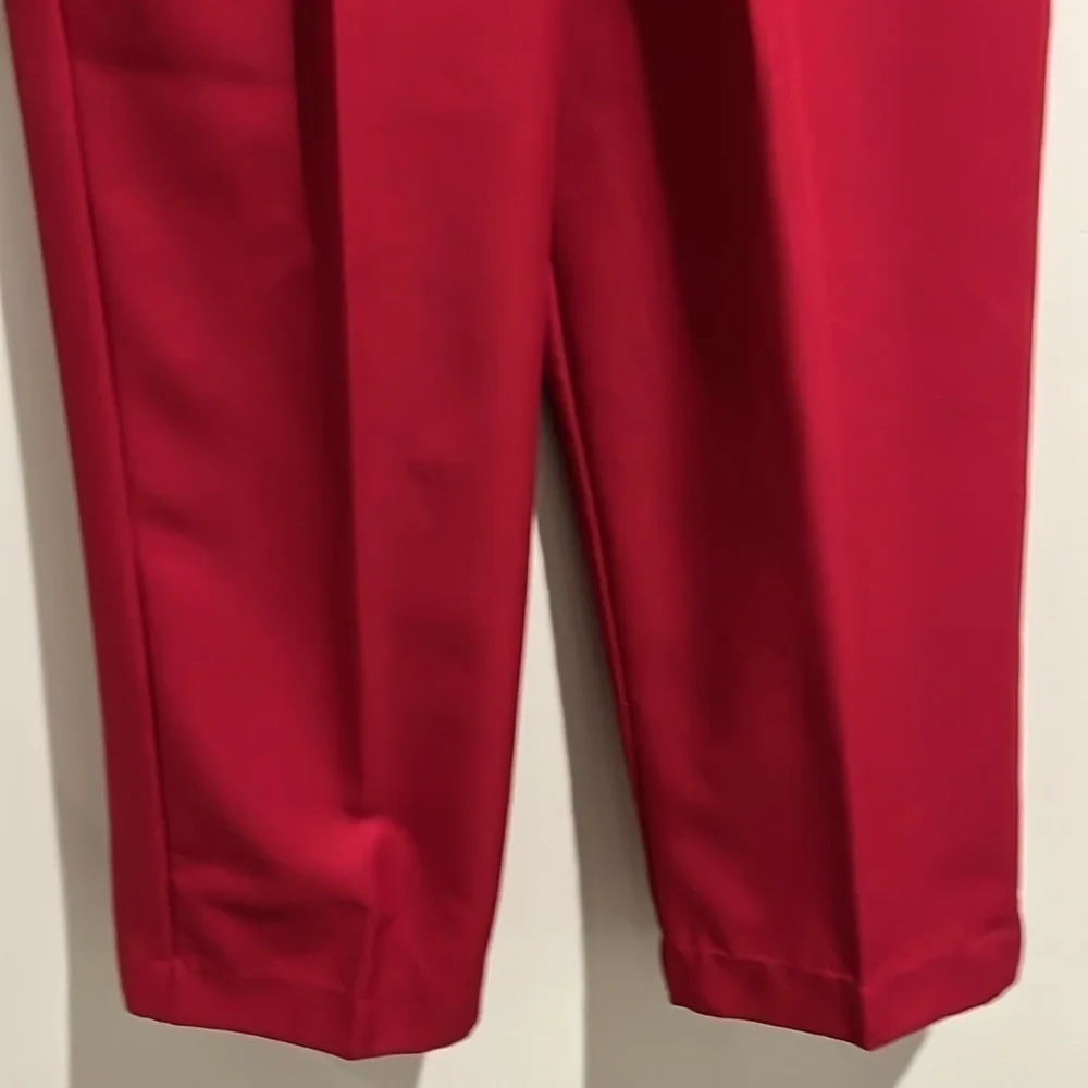 Alfred Dunner red pants. Size 10. Side pockets. Elastic waist. - Picture 3 of 5